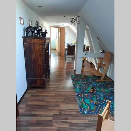 Ferienwohnung Mit Elbwiesenblick Wittenberg Εξωτερικό φωτογραφία