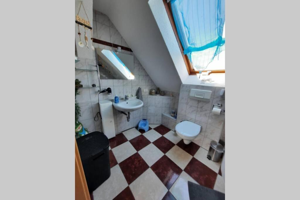Ferienwohnung Mit Elbwiesenblick Wittenberg Εξωτερικό φωτογραφία