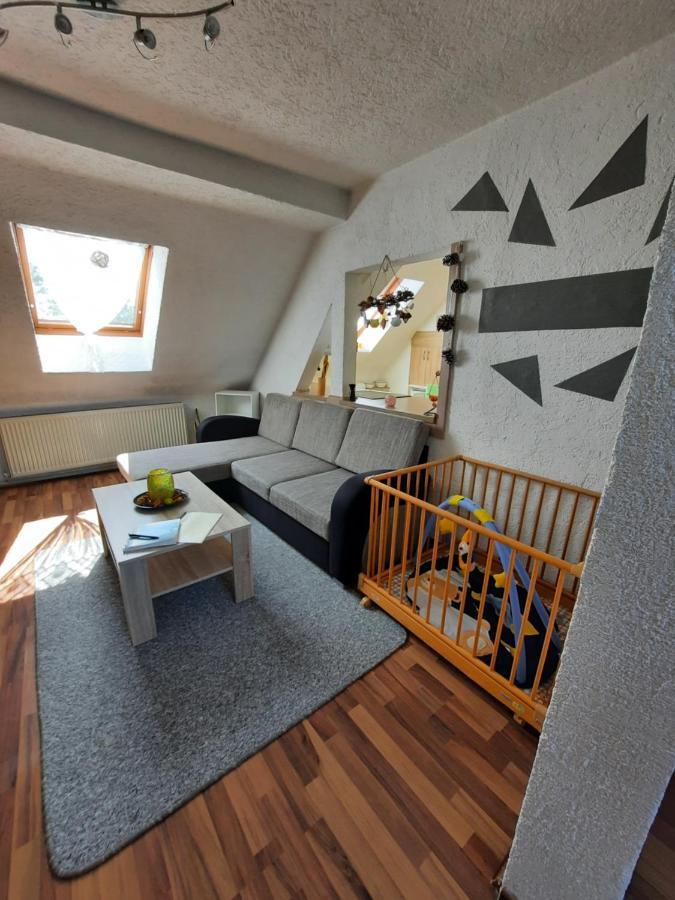 Ferienwohnung Mit Elbwiesenblick Wittenberg Εξωτερικό φωτογραφία