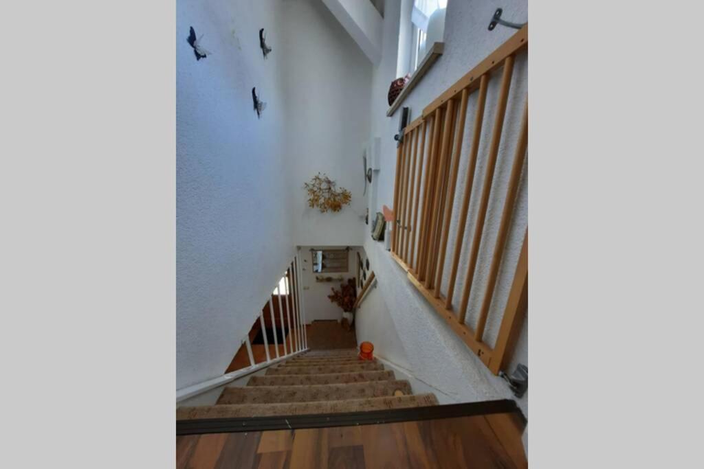 Ferienwohnung Mit Elbwiesenblick Wittenberg Εξωτερικό φωτογραφία