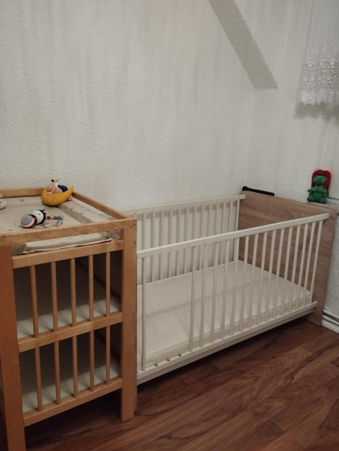 Ferienwohnung Mit Elbwiesenblick Wittenberg Εξωτερικό φωτογραφία