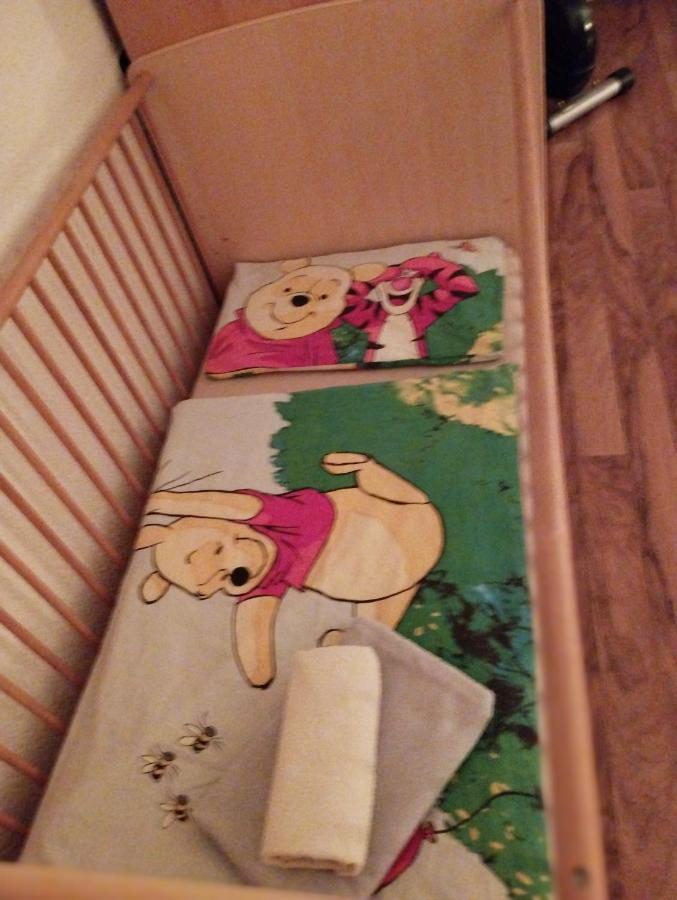 Ferienwohnung Mit Elbwiesenblick Wittenberg Εξωτερικό φωτογραφία